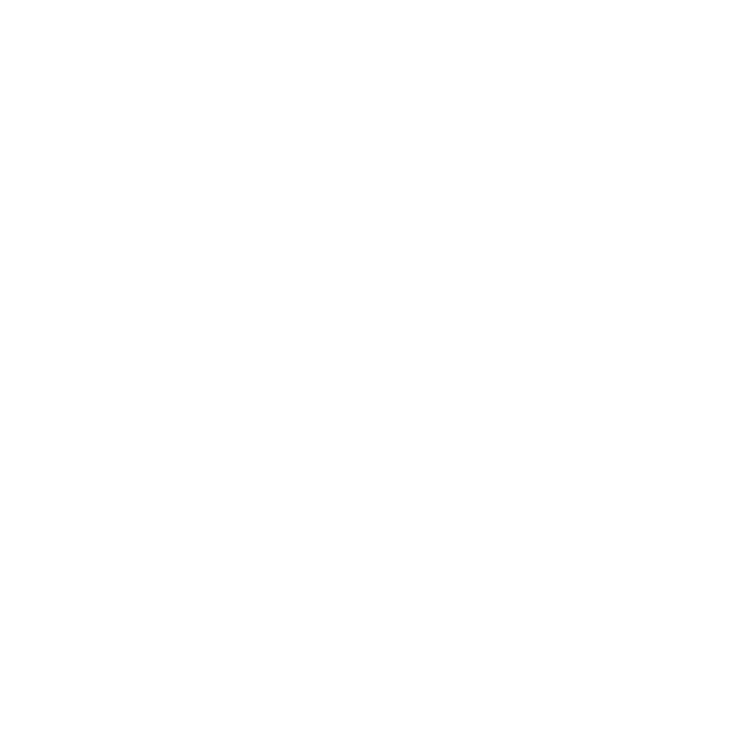 El Taller de Venegas Academy
